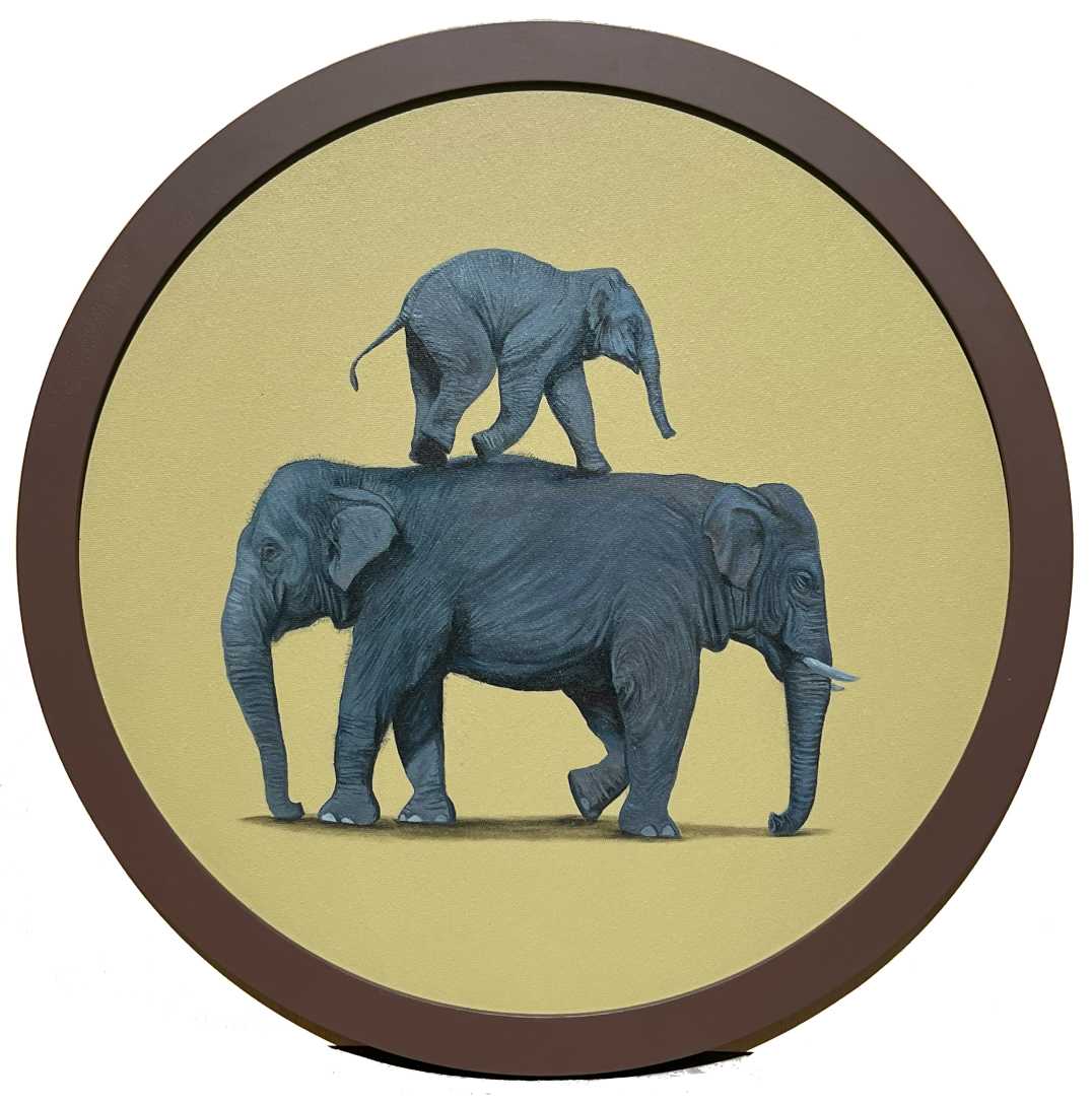 Elephant Series
