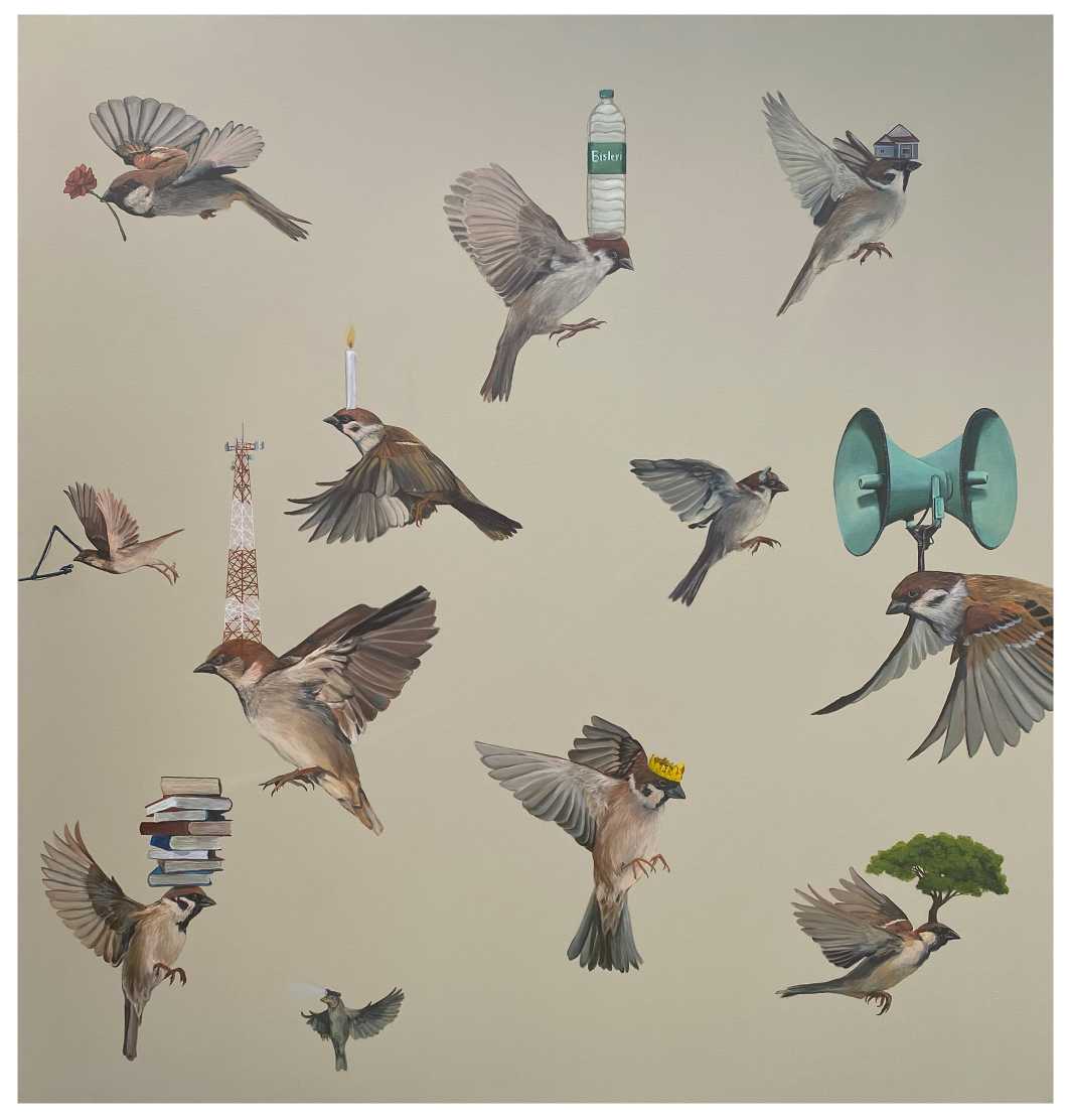 Sparrow Series