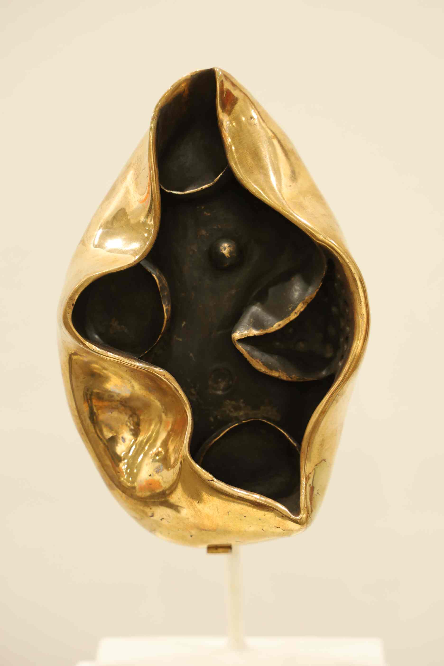 We are of Nature/ BudOrgan