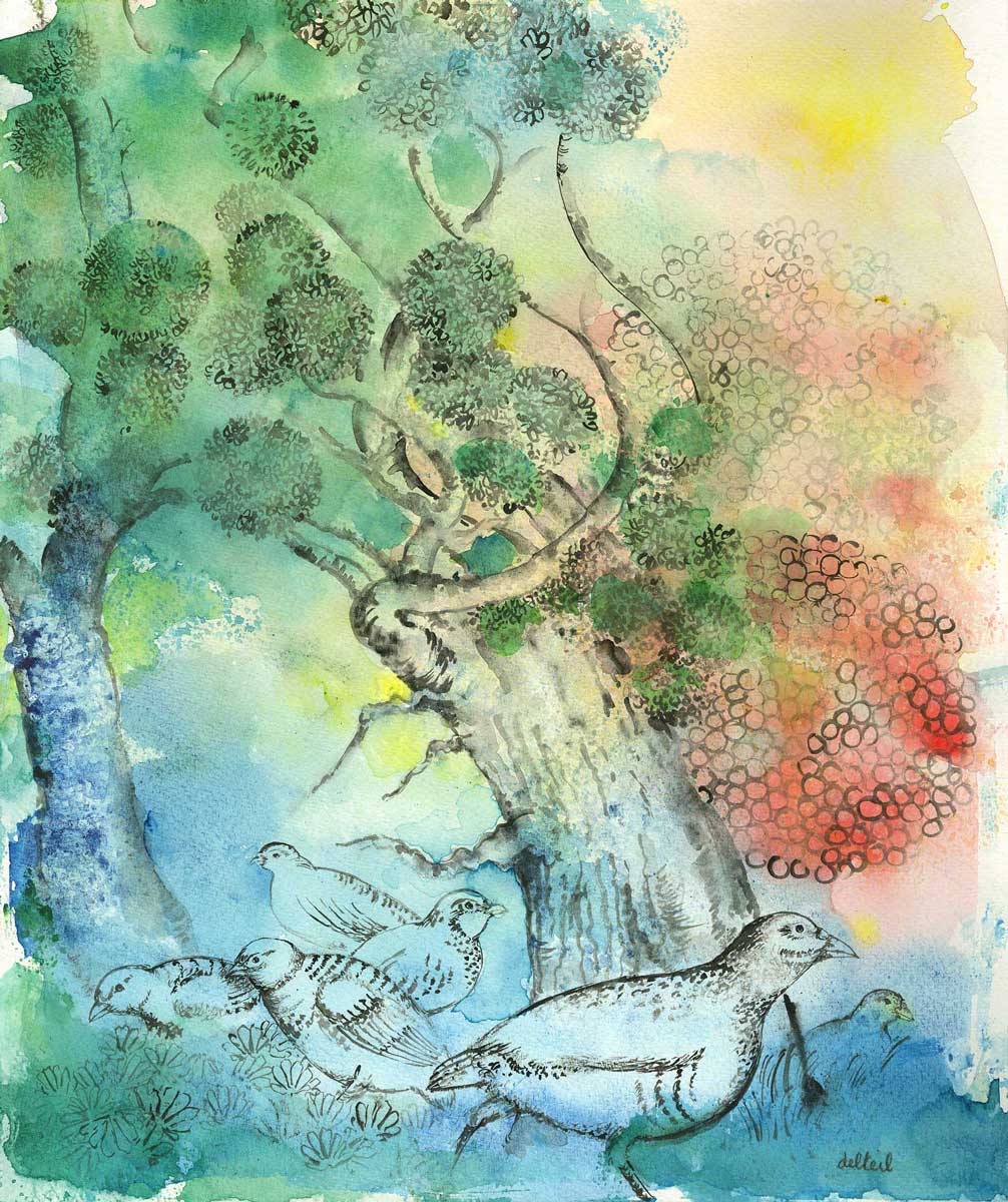 In the Forest