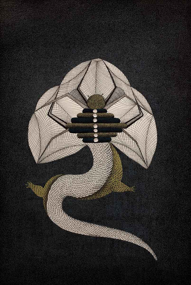 Primal Spider - 1 