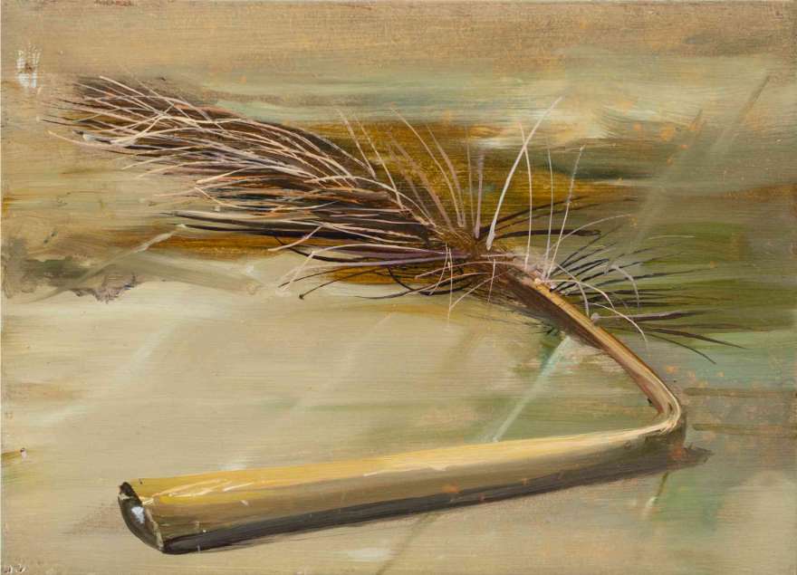 Palm Leaf