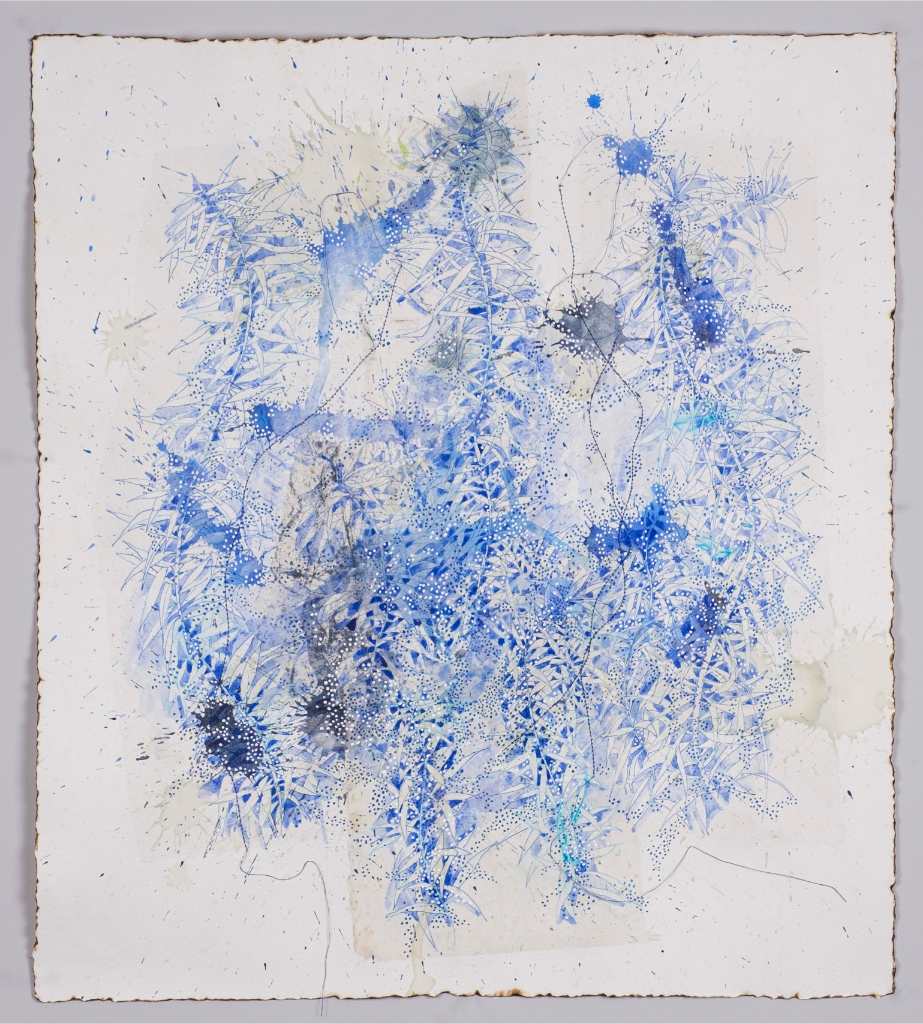 Lichens II