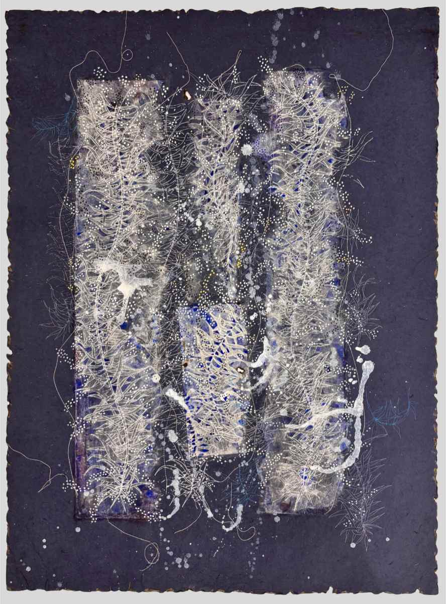 Lichens III
