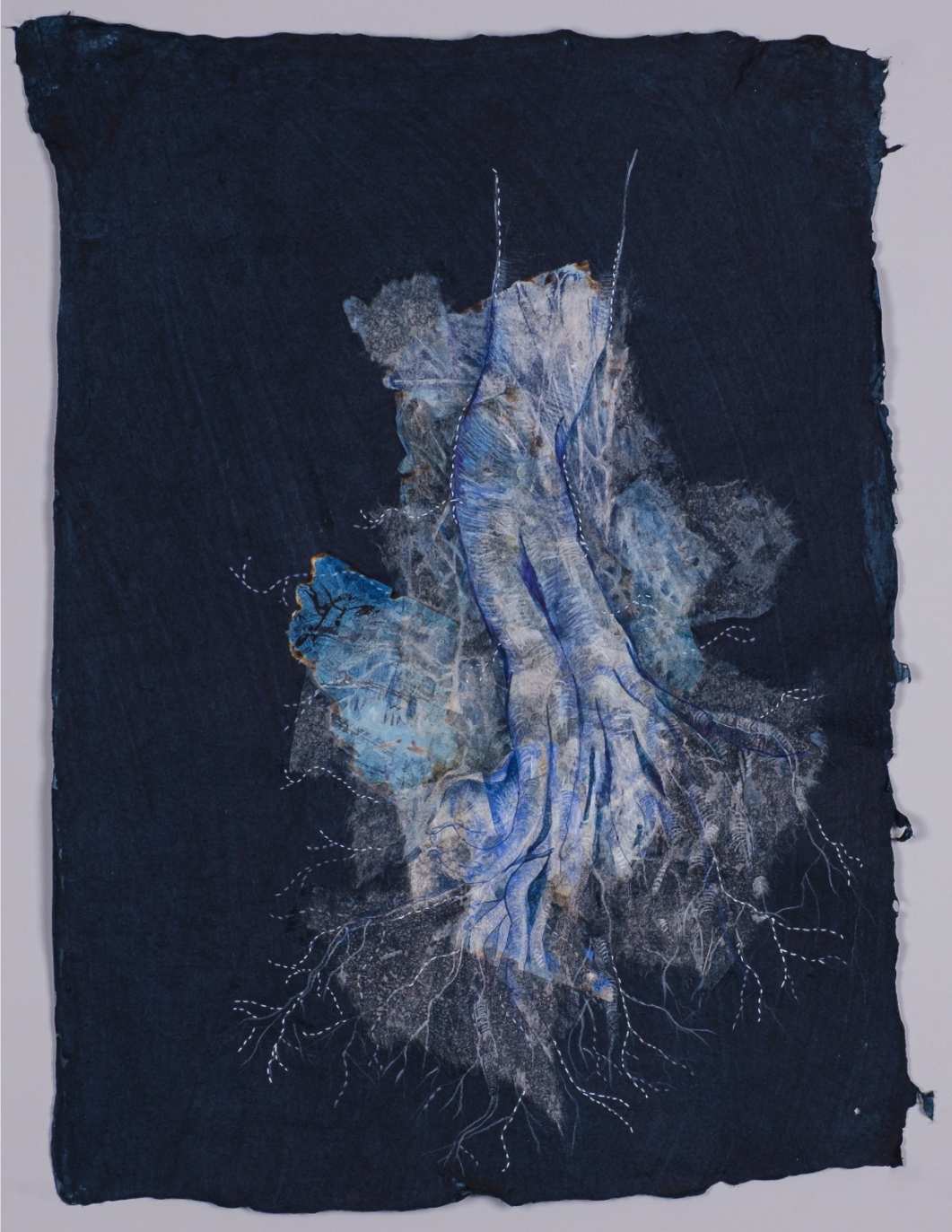 Roots of a relationship II