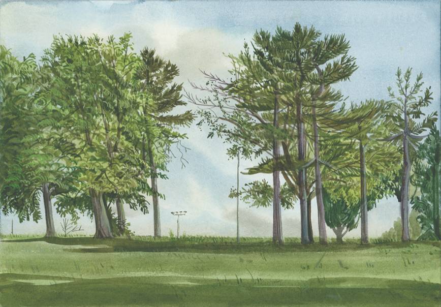 Finsbury Park-3, London