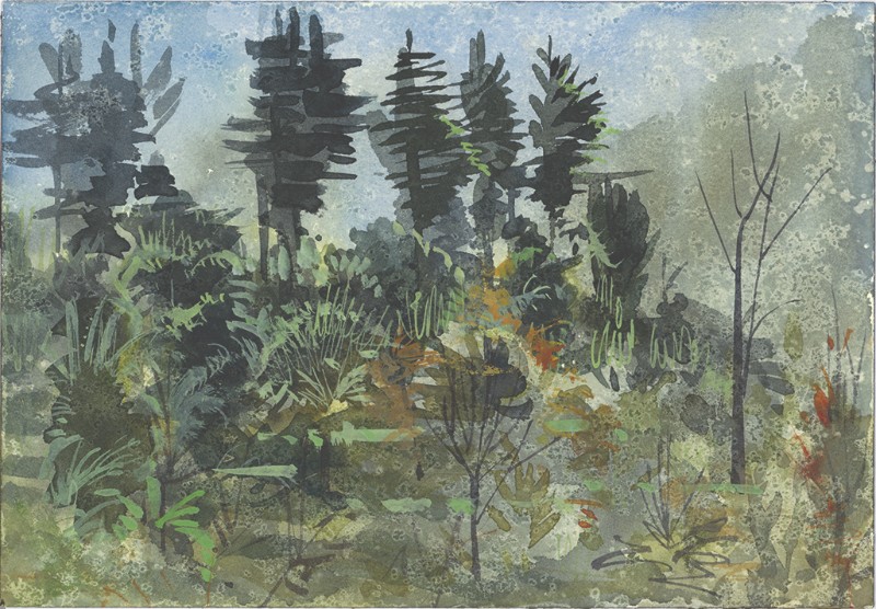 Sarahan Himachal Pradesh