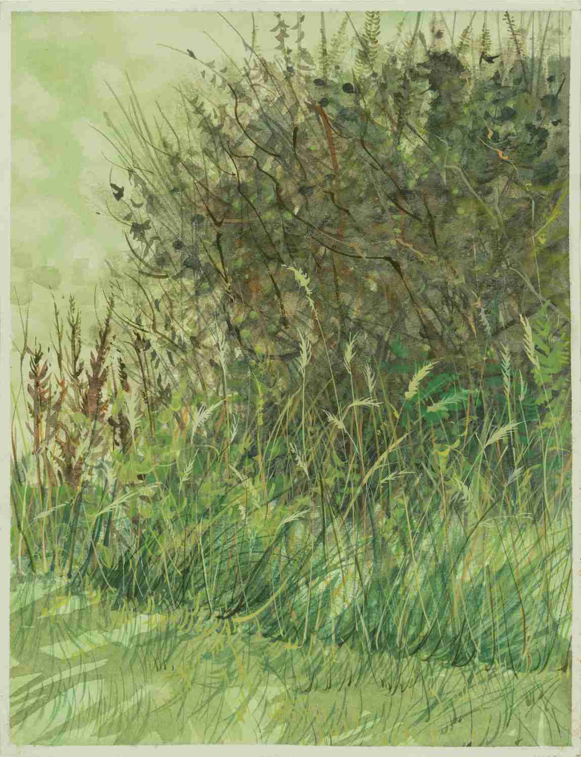 The Breeze, Isle of Skye