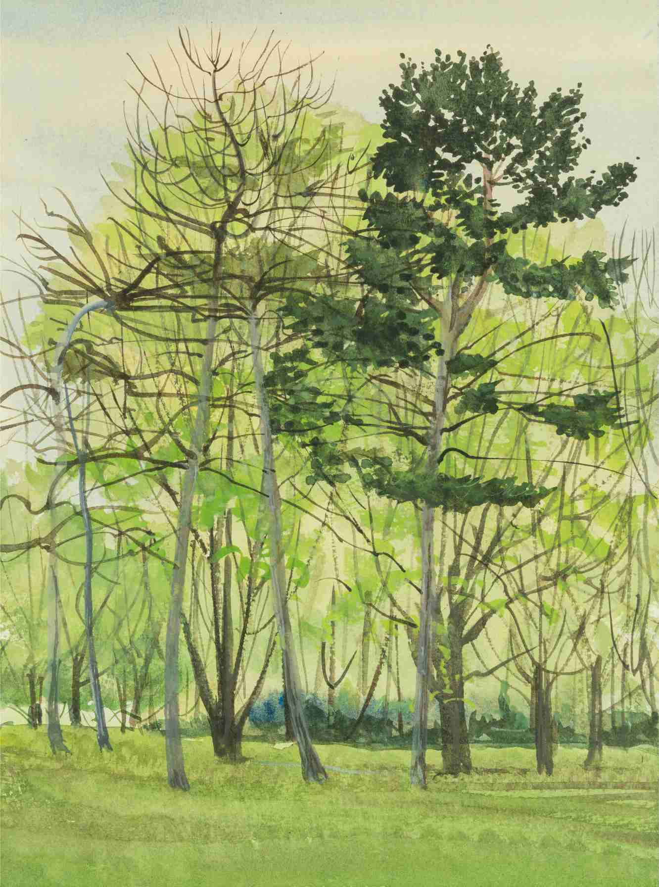 Trees, Finsbury Park, London