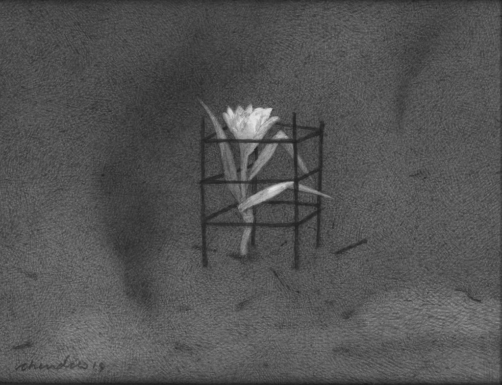 Untitled- 15 Night Forest Series